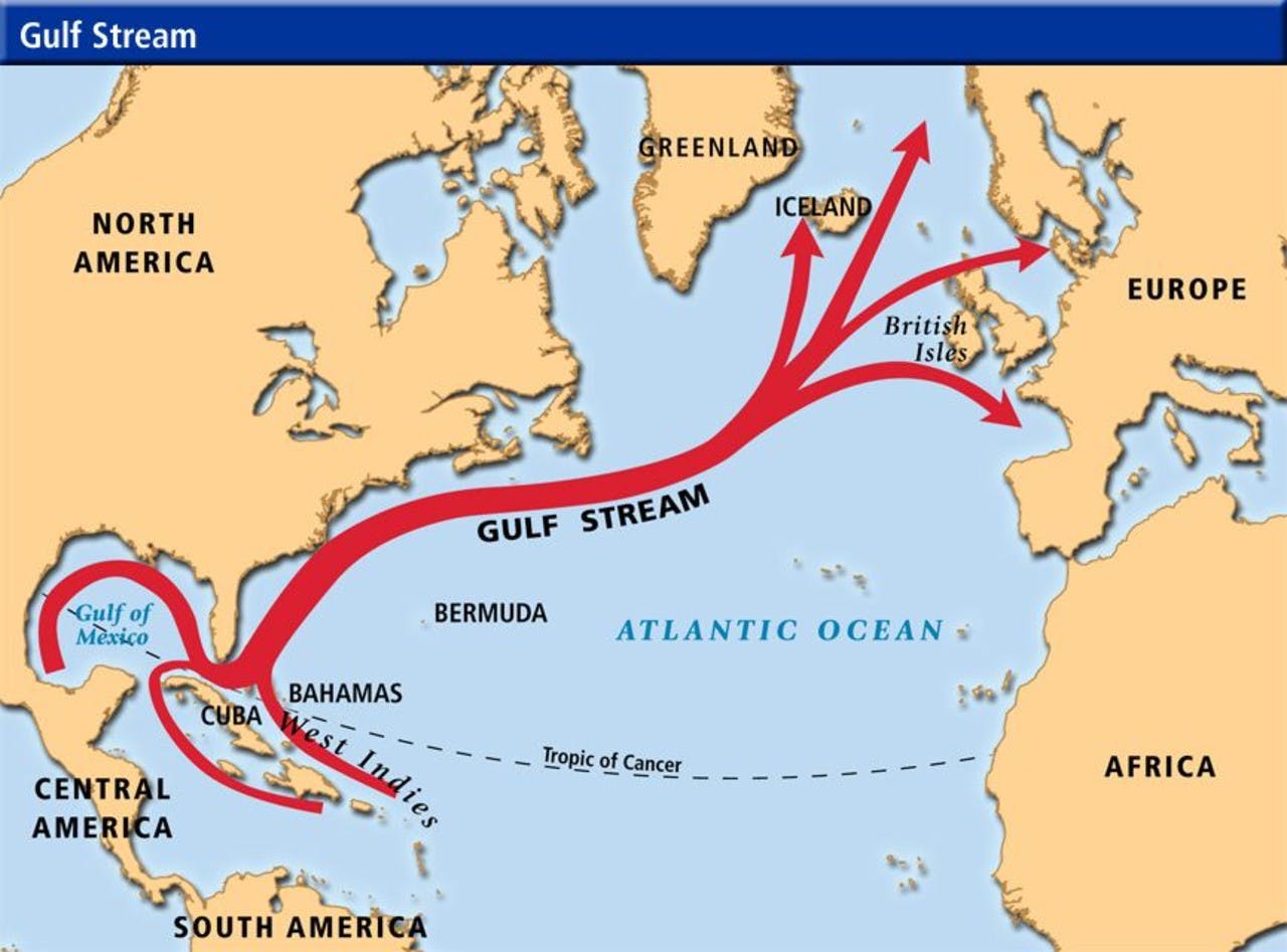 Gulf stream