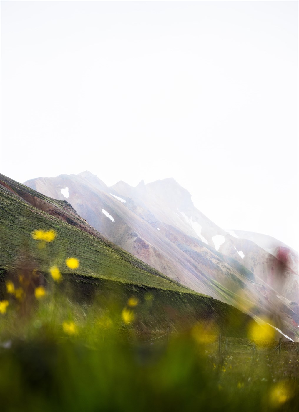 Spring in Iceland